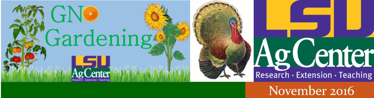 GNO Gardening November 2016 Newsletter
